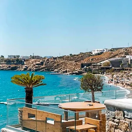 New Paradise - Adults Only Hotell